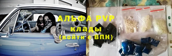 альфа пвп Гусев