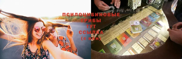 mix Гусиноозёрск