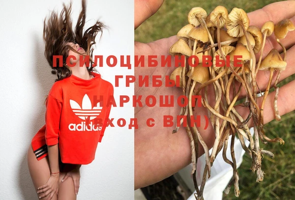 mix Гусиноозёрск