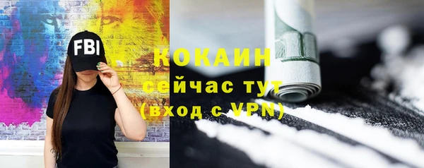 альфа пвп Гусев
