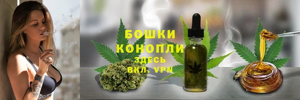 гидропоника Гусь-Хрустальный