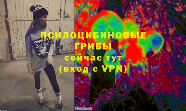 альфа пвп Гусев
