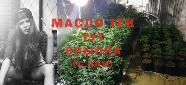 гидропоника Гусь-Хрустальный