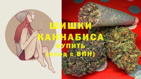 прущие грибы Анжеро-Судженск