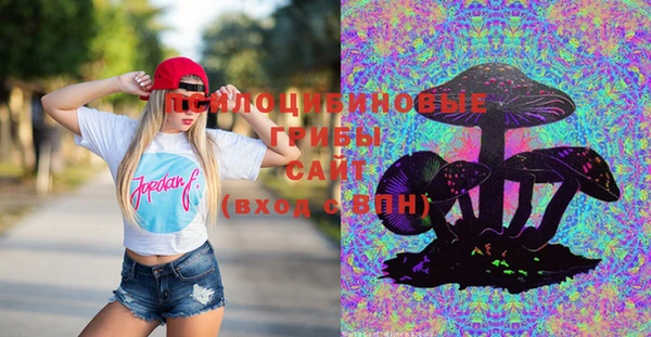 mix Гусиноозёрск