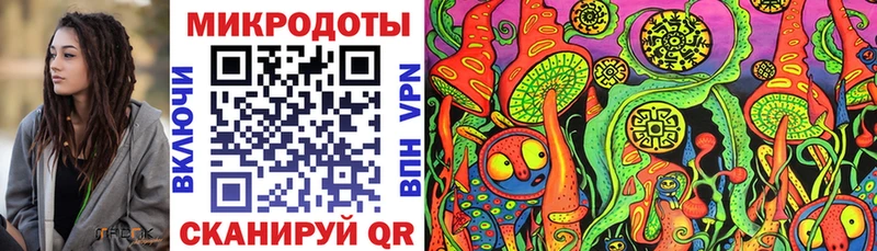 mega онион  Дмитровск  Псилоцибиновые грибы Psilocybe 